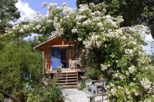 3 små hus Bed & Breakfast