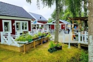B&B Ale TINGSTAD