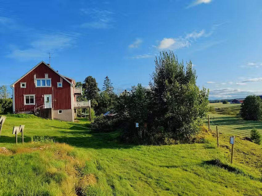 Backgården’s Tourism & Culture