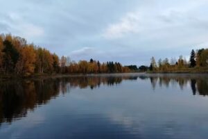 Book Härjedalen / Hede Tourist Information / Sonfjället nature & culture / Hede Business Group