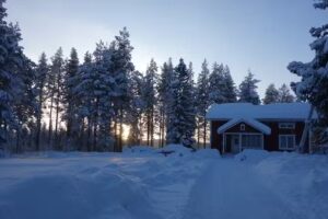 Brother Wolf – Sled Dog Training and Fishing Station