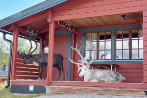 Bruksvallarna’s Holiday Village