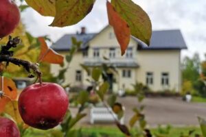 Disponentparkens B&B and café