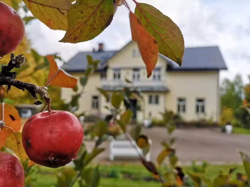 Disponentparkens B&B og café