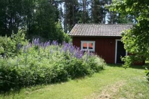 Ferienhaus Ahornfarm Håkannäs