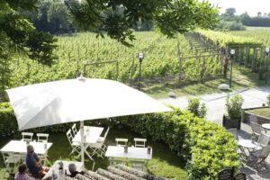 Flädie Mad & Vineri