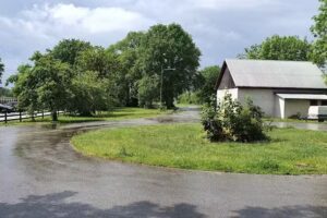 Gothem Unterkunft & Restaurant Vedugnen