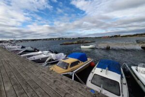 The Catfish Hotel & Hostel