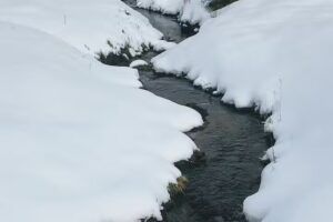 Hjemme i Maits stall