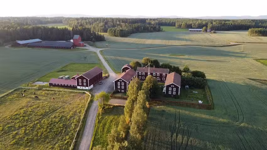 Hofra Bed & Breakfast