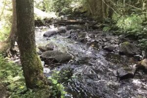 Verein für lokale Geschichte Hovslätts