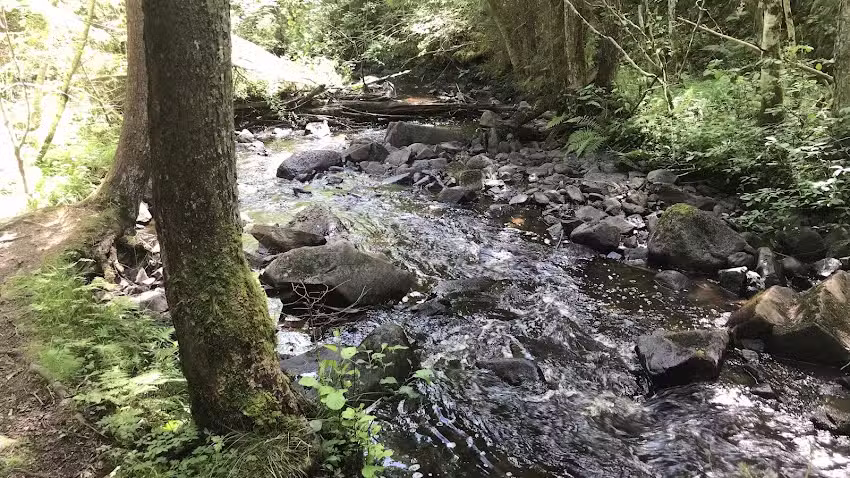 Hovslätts Local History Association