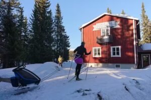 IOGT-NTOs Fjellhytte Lövåsen