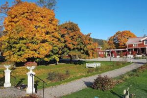 Järvsöbaden – Tourist Conference Hotel & SPA