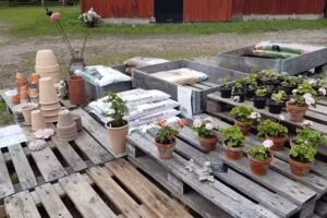 Karaby Farm, Country Living