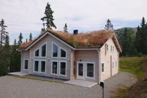 The Clock Mountain Swan