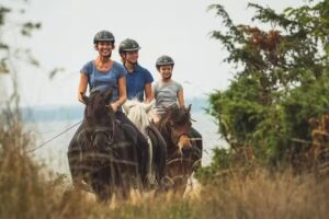 Kollberggården – B&B Ölands YogaStudio & Islandpferde