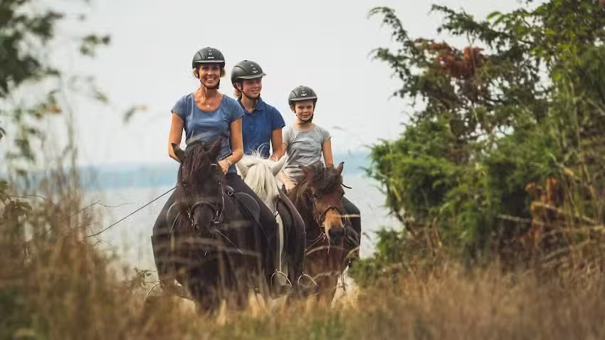 Kollberggården – B&B Ölands YogaStudio & Islandshester