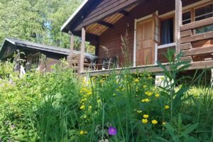 Kultsjögården/Fiskecentrum i Saxnäs