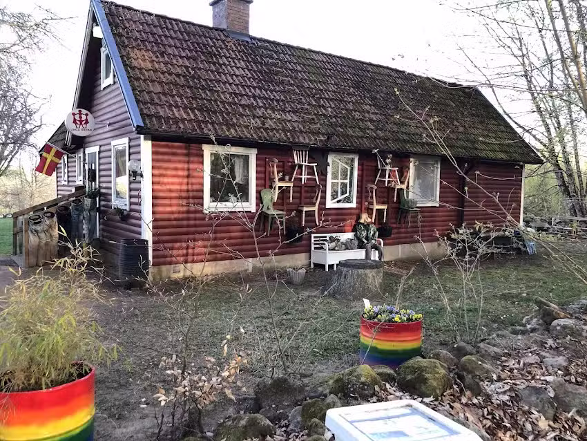 Campsite Krika forest