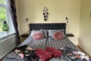 Die Villa des Doktors in Vilhelmina