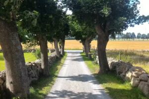 Larsagården Bed & Breakfast