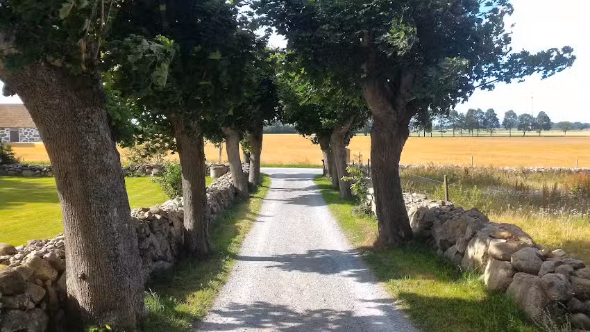 Larsagården Bed & Breakfast