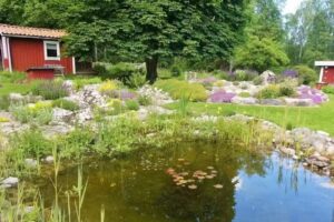 Lilla Vasskärrs Bed & Breakfast