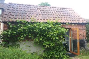 Lite gjestehus i Sankt Olof