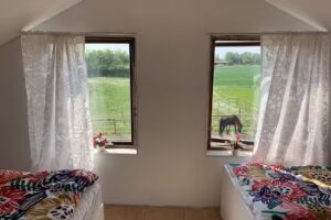 Live on a horse farm