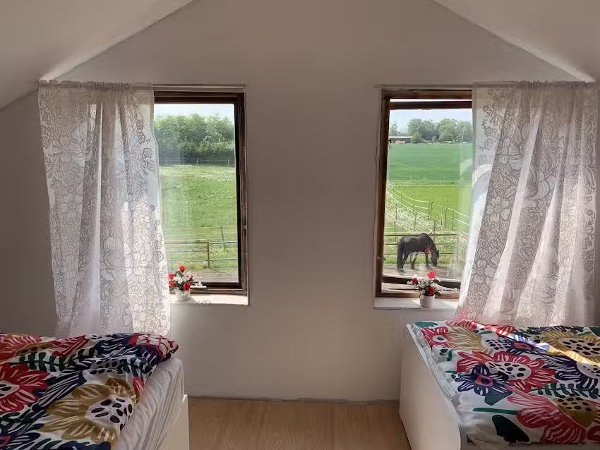 Bor på en hestegård