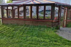 Venner af Ljusbacken