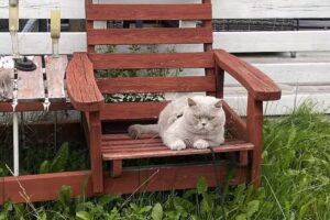 Mårängens Camping & Badning AB