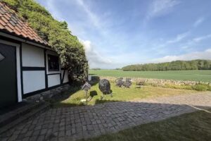 Möllehässle Bed & Breakfast AB