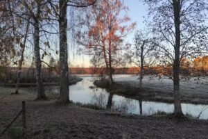 Naglarby Village Cottage