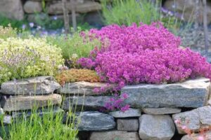 Nyhagen’s Garden and B&B