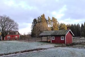 Nylyckan holiday loghouses