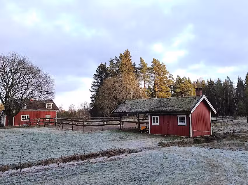 Nylyckan holiday loghouses