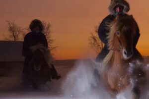 Ofelaš Icelandic horses & guide service