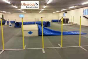 Olseröd Hundesenter