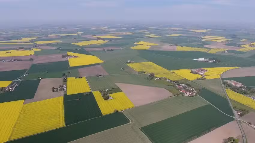 Örums Nygård Österlen, Farm Hotel Spa & Conference