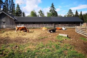 Østlige Grunubergs Bondegård