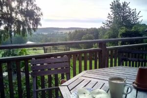 Paviljongen Cottage and Rooms