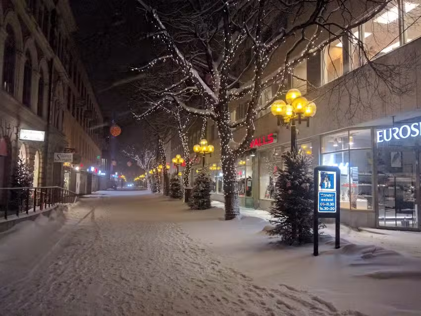 Gjestehuset Björnen