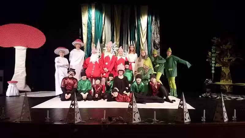 Piteå Folketshuset Association