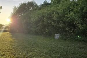 Qvibergs campingpladser