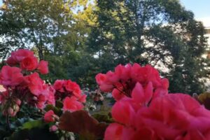 Räddningsskolan Skövde AB