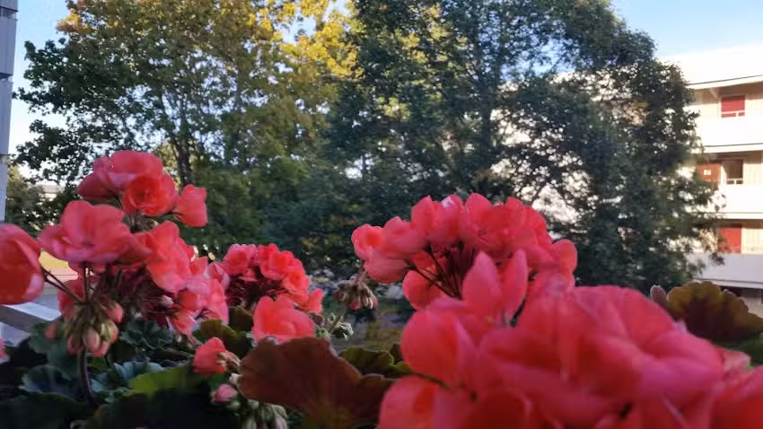 Redningsskole Skövde AB