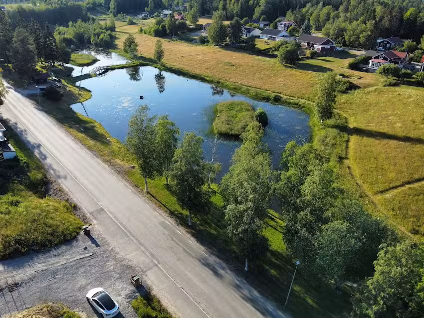 Das Haus der Roten Ameise