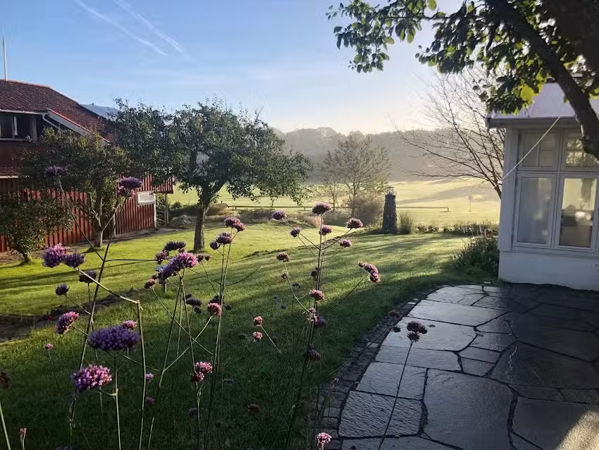 Rörviks camping Onsala